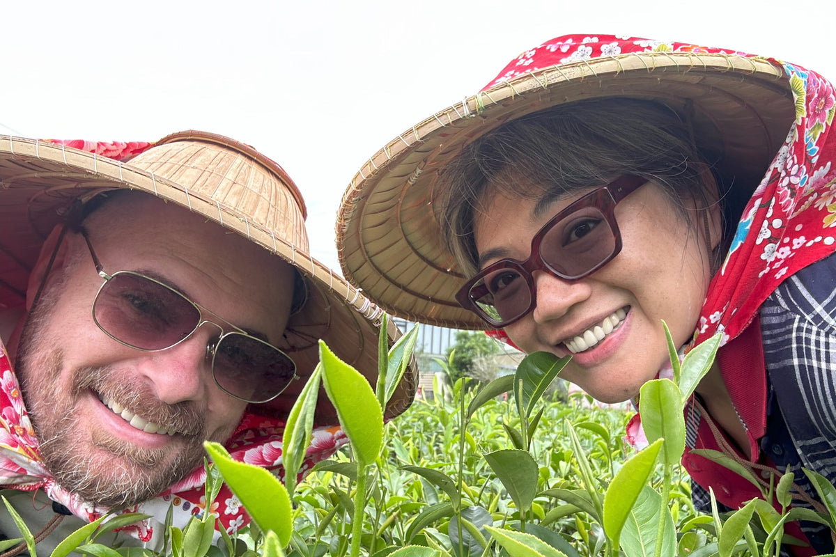 Communitea Greenhouse on Substack